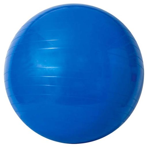 Gym Ball - 65 cm - Azul